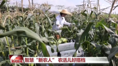 <b>住芽叶然后提断</b>